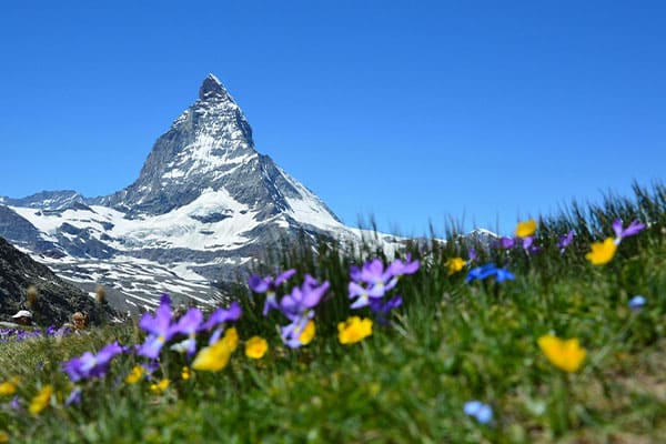 Zermatt Summer Time